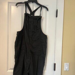 Aerie Overalls
